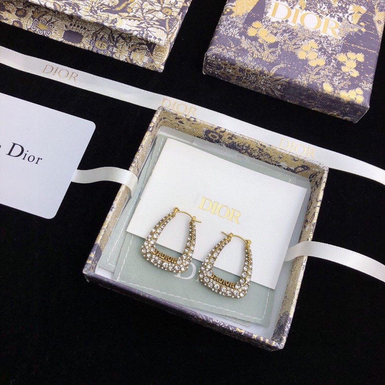 Christian Dior Earrings